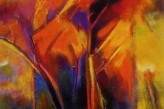 Fuochi 2008 /Brussa cm 50 x 60 - acr.  su tela -